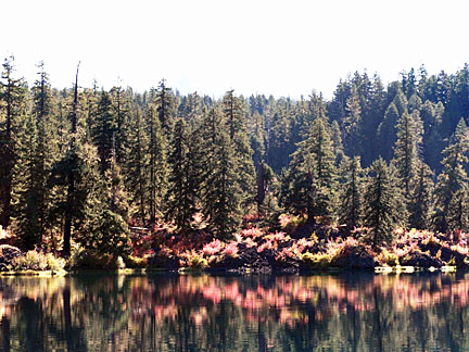 fall lake graphic